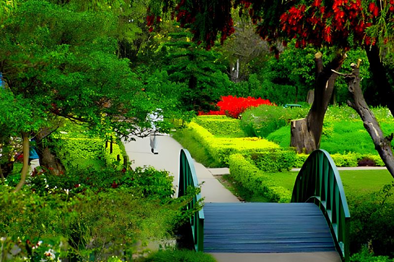 Rose Garden